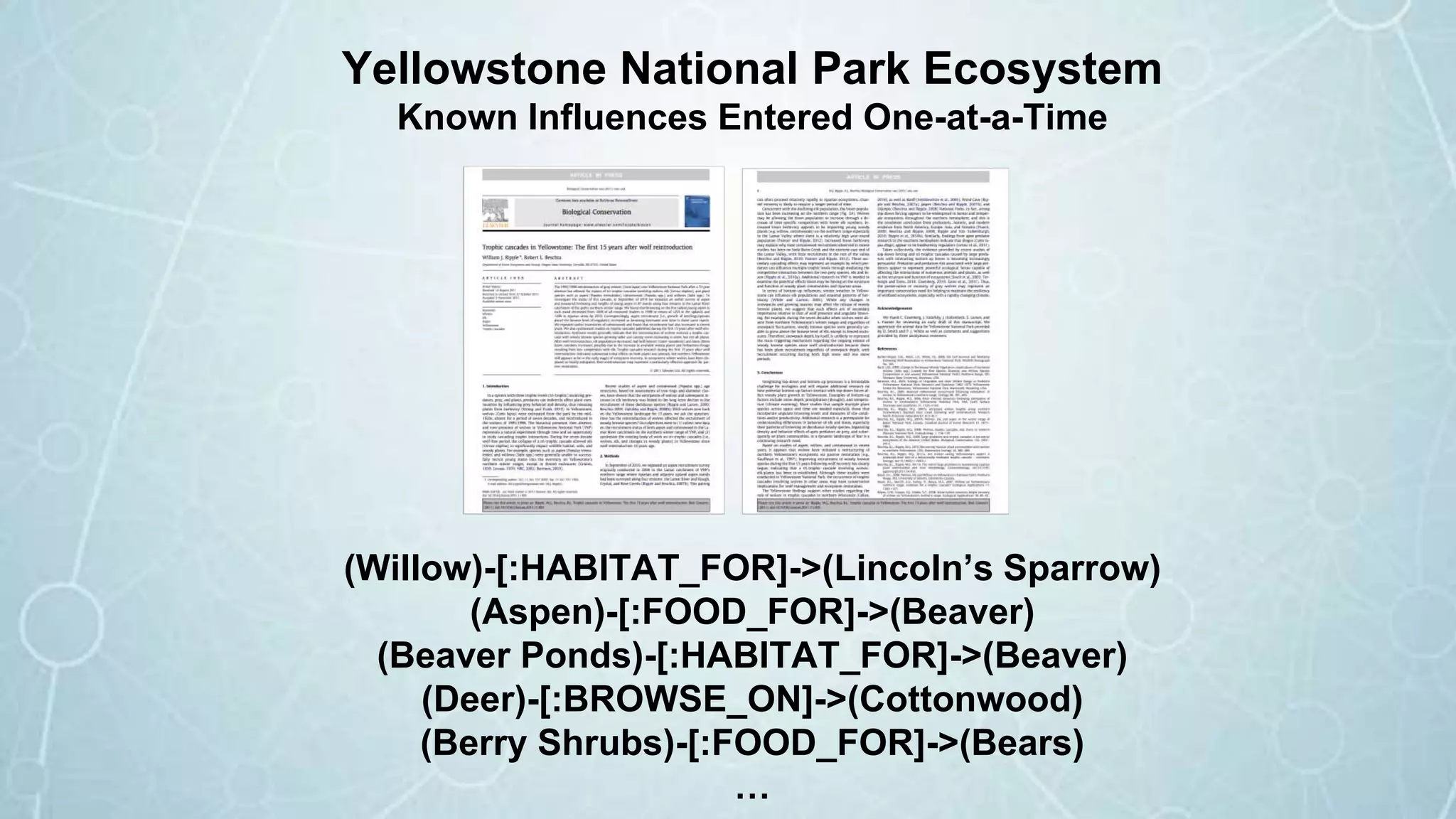 Yellowstone National Park Ecosystem
Known Influences Entered One-at-a-Time
(Willow)-[:HABITAT_FOR]->(Lincoln’s Sparrow)
(Aspen)-[:FOOD_FOR]->(Beaver)
(Beaver Ponds)-[:HABITAT_FOR]->(Beaver)
(Deer)-[:BROWSE_ON]->(Cottonwood)
(Berry Shrubs)-[:FOOD_FOR]->(Bears)
…
 