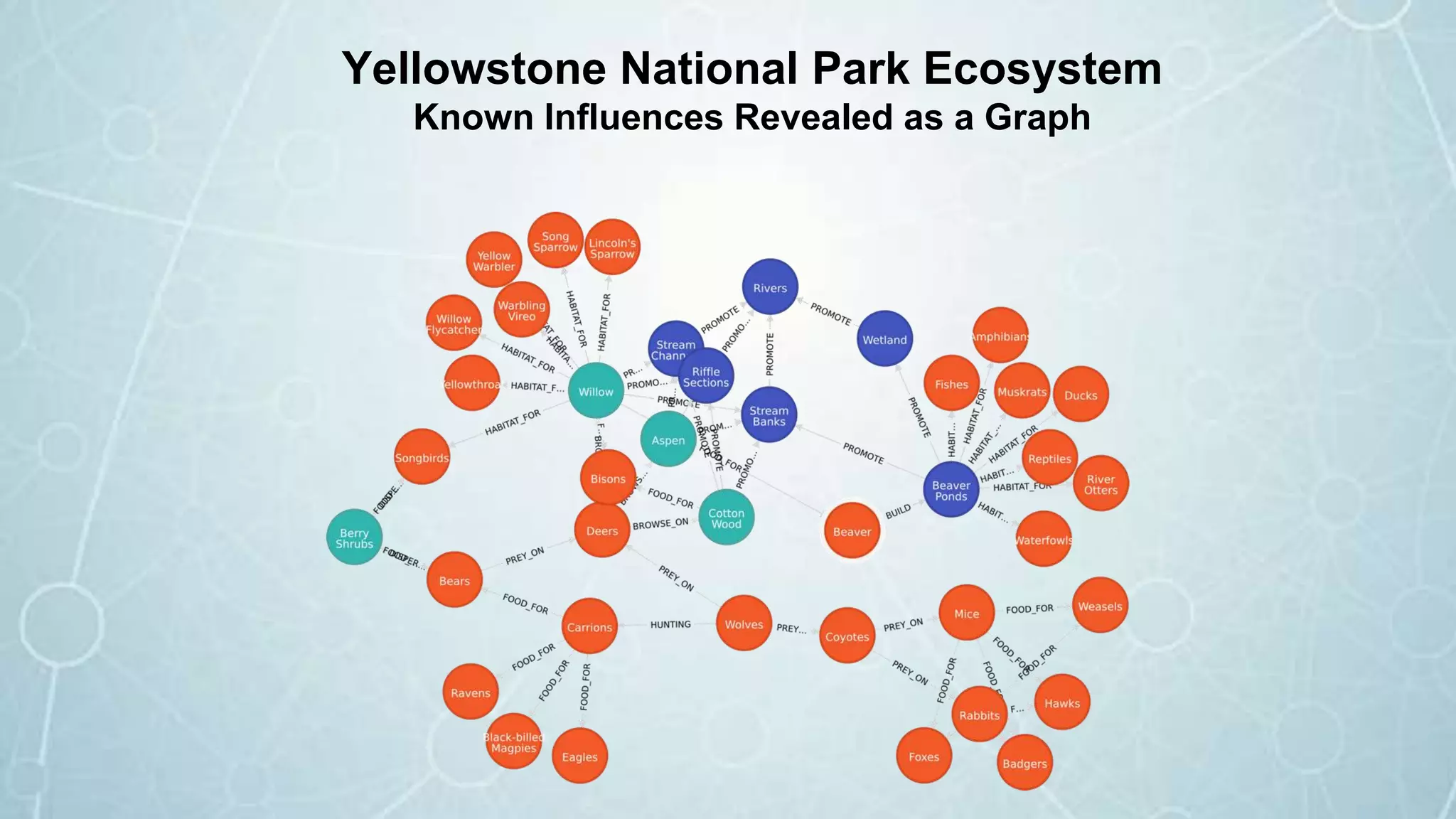 Yellowstone National Park Ecosystem
Known Influences Revealed as a Graph
 