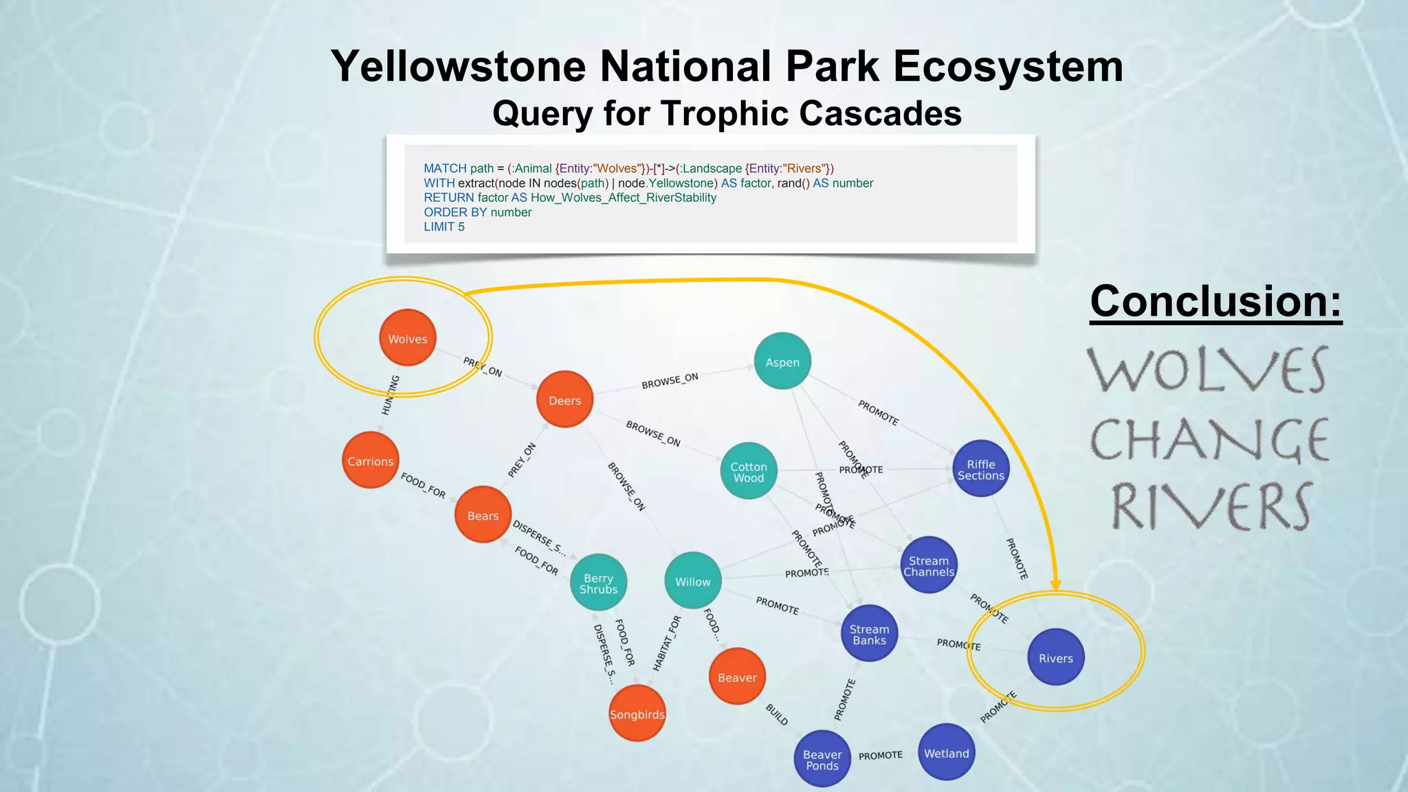 MATCH path = (:Animal {Entity:"Wolves"})-[*]->(:Landscape {Entity:"Rivers"})
WITH extract(node IN nodes(path) | node.Yellowstone) AS factor, rand() AS number
RETURN factor AS How_Wolves_Affect_RiverStability
ORDER BY number
LIMIT 5
Yellowstone National Park Ecosystem
Query for Trophic Cascades
Conclusion:
 