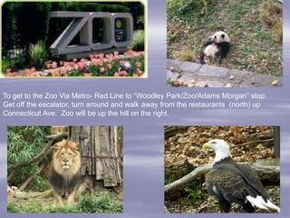 To get to the Zoo Via Metro- Red Line to “Woodley Park/Zoo/Adams Morgan” stop.
Get off the escalator, turn around and walk away from the restaurants (north) up
Connecticut Ave. Zoo will be up the hill on the right.
 
