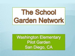 The School Garden Network Washington Elementary Pilot Garden San Diego, CA 