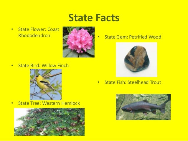top 28 washington state bird facts washington d c top 28 washington state bird facts washington d c