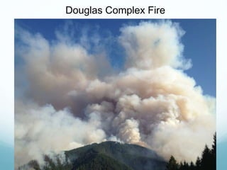 Douglas Complex Fire
 