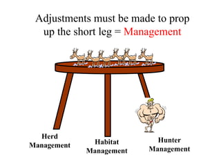 Adjustments must be made to prop up the short leg =  Management Herd Management Habitat Management Hunter Management 
