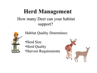 Herd Management How many Deer can your habitat support?  Habitat Quality Determines: Herd Size Herd Quality Harvest Requirements 