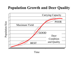 Population Growth and Deer Quality BEST Maximum Yield GOOD POOR Deer Condition and Quality Carrying Capacity Population Size Time 