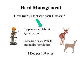 Herd Management How many Deer can you Harvest? Depends on Habitat Quality, but… Research says 35% to maintain Population 1 Doe per 100 acres 