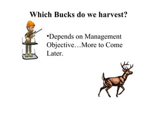 Which Bucks do we harvest?   Depends on Management Objective…More to Come Later.   