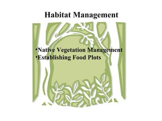 Habitat Management   Native Vegetation Management Establishing Food Plots 