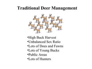 Traditional Deer Management High Buck Harvest Unbalanced Sex Ratio Lots of Does and Fawns Lots of Young Bucks Public Areas Lots of Hunters 