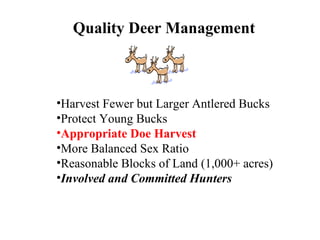 Quality Deer Management Harvest Fewer but Larger Antlered Bucks Protect Young Bucks Appropriate Doe Harvest More Balanced Sex Ratio Reasonable Blocks of Land (1,000+ acres) Involved and Committed Hunters 