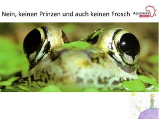 Nein, keinen Prinzen und auch keinen Frosch
 