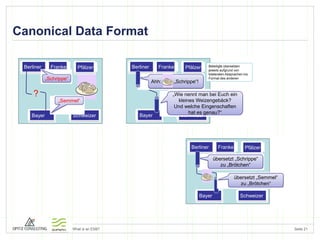 Canonical Data Format 