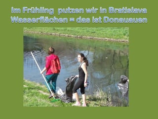 Was kann man für die Umwelt machen