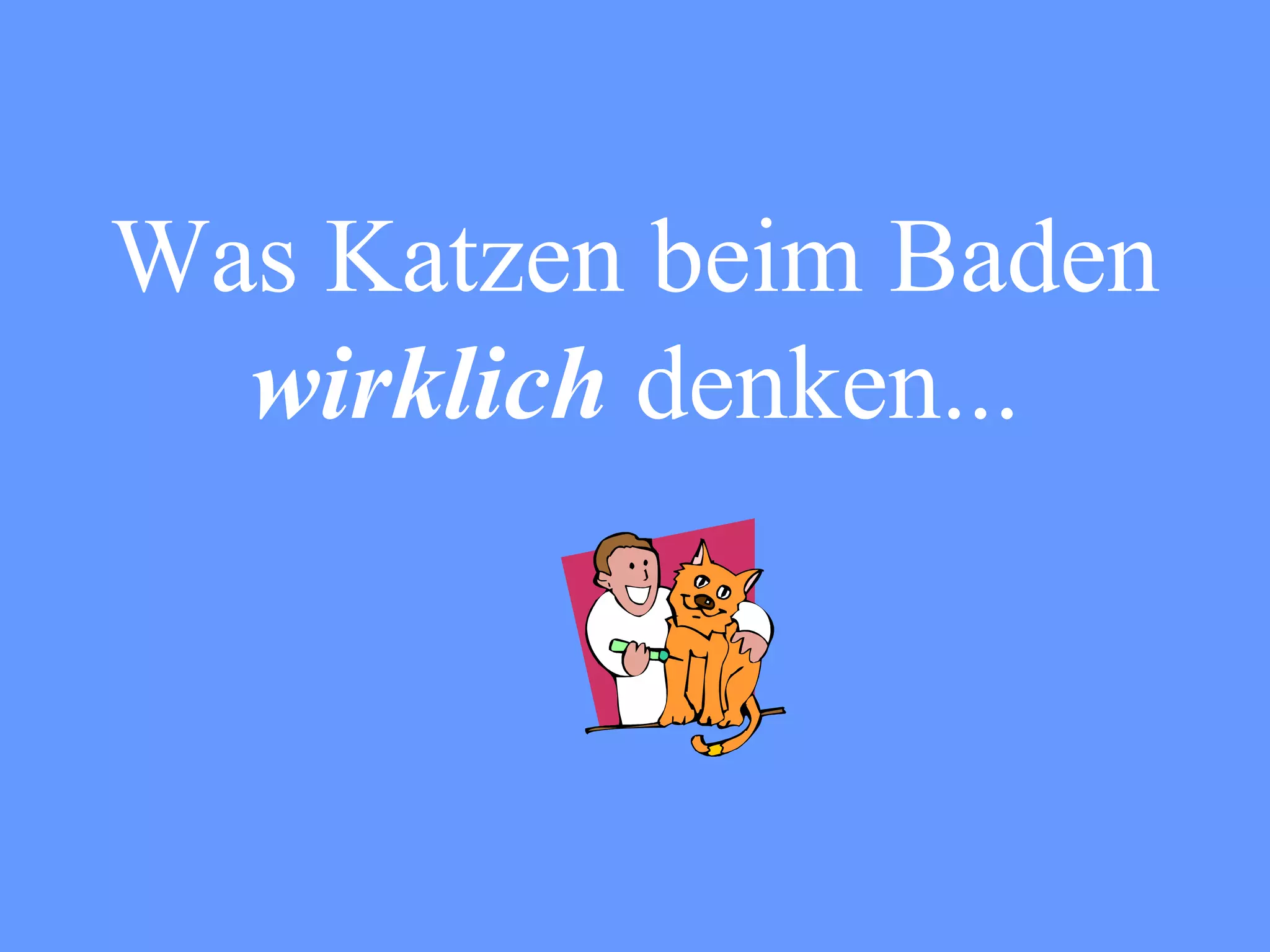 Was Katzen beim Baden wirklich denken...