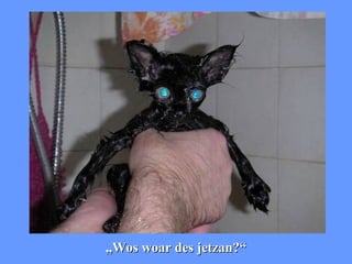 „ Wos woar des jetzan?“