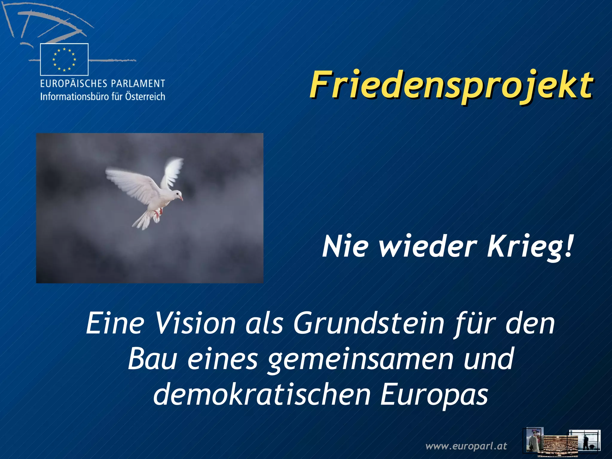 Friedensprojekt Nie wieder Krieg! Eine Vision als Grundstein für den Bau eines gemeinsamen und demokratischen Europas 