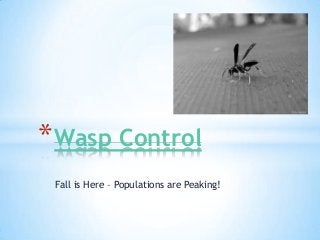 * Wasp Control
Fall is Here – Populations are Peaking!

 