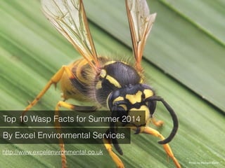 Top 10 Wasp Facts for Summer 2014
By Excel Environmental Services
http://www.excelenvironmental.co.uk
Photo by Richard Bartz
 