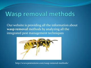 Our website is providing all the information about
wasp removal methods by analyzing all the
integrated pest management techniques
http://www.pestremove.com/wasp-removal-methods/
 