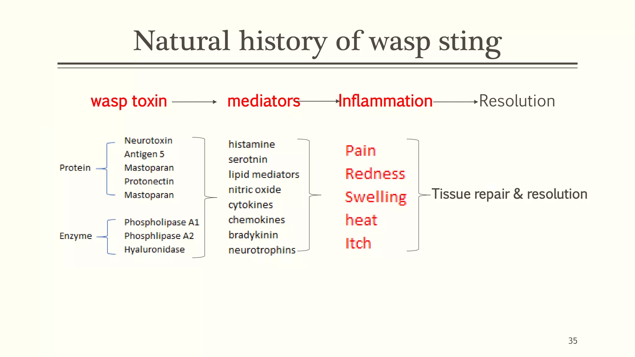 Natural history of wasp sting
wasp toxin mediators Inflammation
Tissue repair & resolution
Resolution
35
 