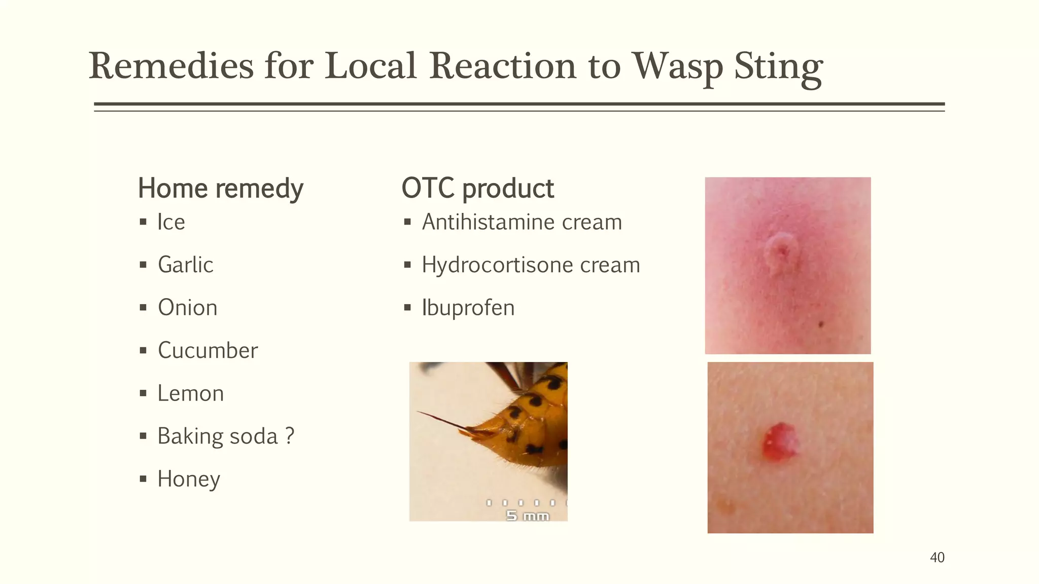 Remedies for Local Reaction to Wasp Sting
Home remedy
▪ Ice
▪ Garlic
▪ Onion
▪ Cucumber
▪ Lemon
▪ Baking soda ?
▪ Honey
OTC product
▪ Antihistamine cream
▪ Hydrocortisone cream
▪ Ibuprofen
40
 