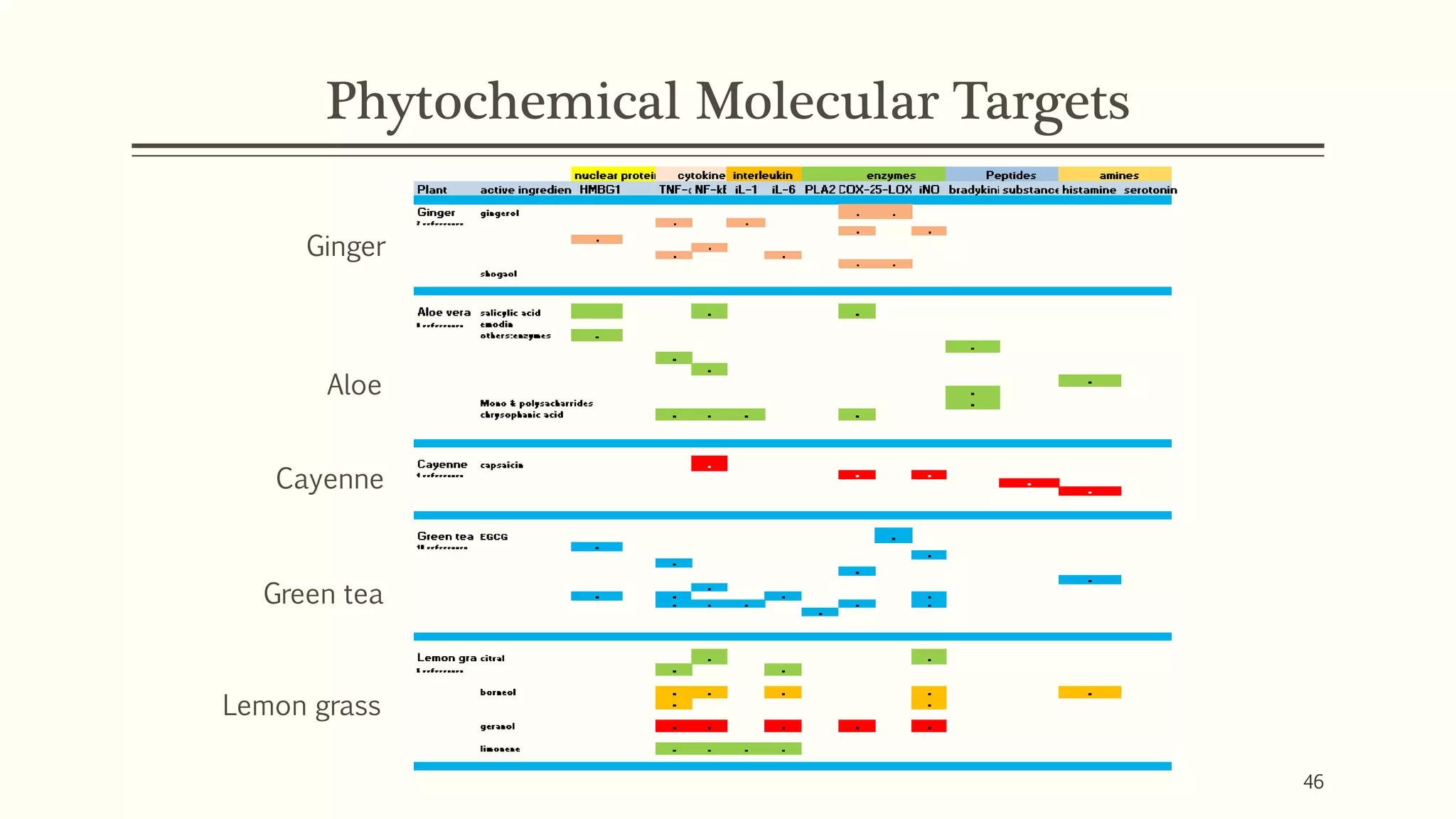Phytochemical Molecular Targets
Ginger
Aloe
Cayenne
Green tea
Lemon grass
46
 