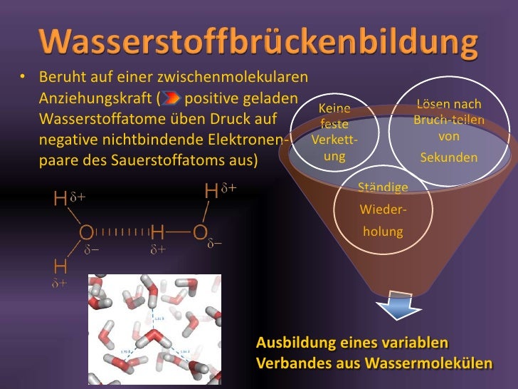 Wasser - ein vielseitiger Stoff