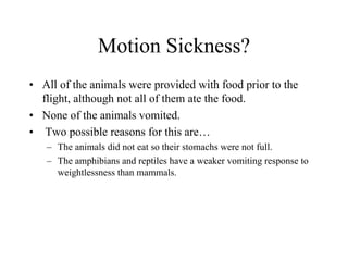Motion Sickness? 
•All of the animals were provided with food prior to the flight, although not all of them ate the food. 
•None of the animals vomited. 
•Two possible reasons for this are… 
–The animals did not eat so their stomachs were not full. 
–The amphibians and reptiles have a weaker vomiting response to weightlessness than mammals.  