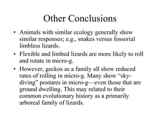 Other Conclusions 
•Animals with similar ecology generally show similar responses; e.g., snakes versus fossorial limbless lizards. 
•Flexible and limbed lizards are more likely to roll and rotate in micro-g. 
•However, geckos as a family all show reduced rates of rolling in micro-g. Many show “sky- diving” postures in micro-g—even those that are ground dwelling. This may related to their common evolutionary history as a primarily arboreal family of lizards.  