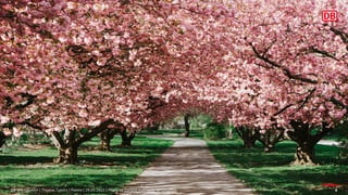 DB Systel GmbH | Thomas Tursics | Pareto | 29.05.2021 | Photo by Tatiana Rodriguez on Unsplash 6
 