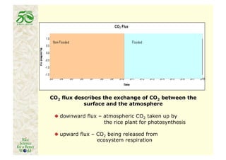 "   downward flux – atmospheric CO2 taken up by
                    the rice plant for photosynthesis

"   upward flux – CO2 being released from
                  ecosystem respiration
 