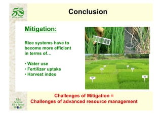 Conclusion

Mitigation:

Rice systems have to
become more efficient
in terms of…

•  Water use
•  Fertilizer uptake
•  Harvest index



            Challenges of Mitigation =
   Challenges of advanced resource management
 
