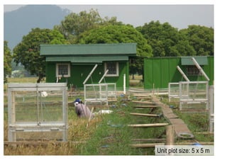 Unit plot size: 5 x 5 m
 