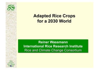 Adapted Rice Crops
 for a 2030 World
 