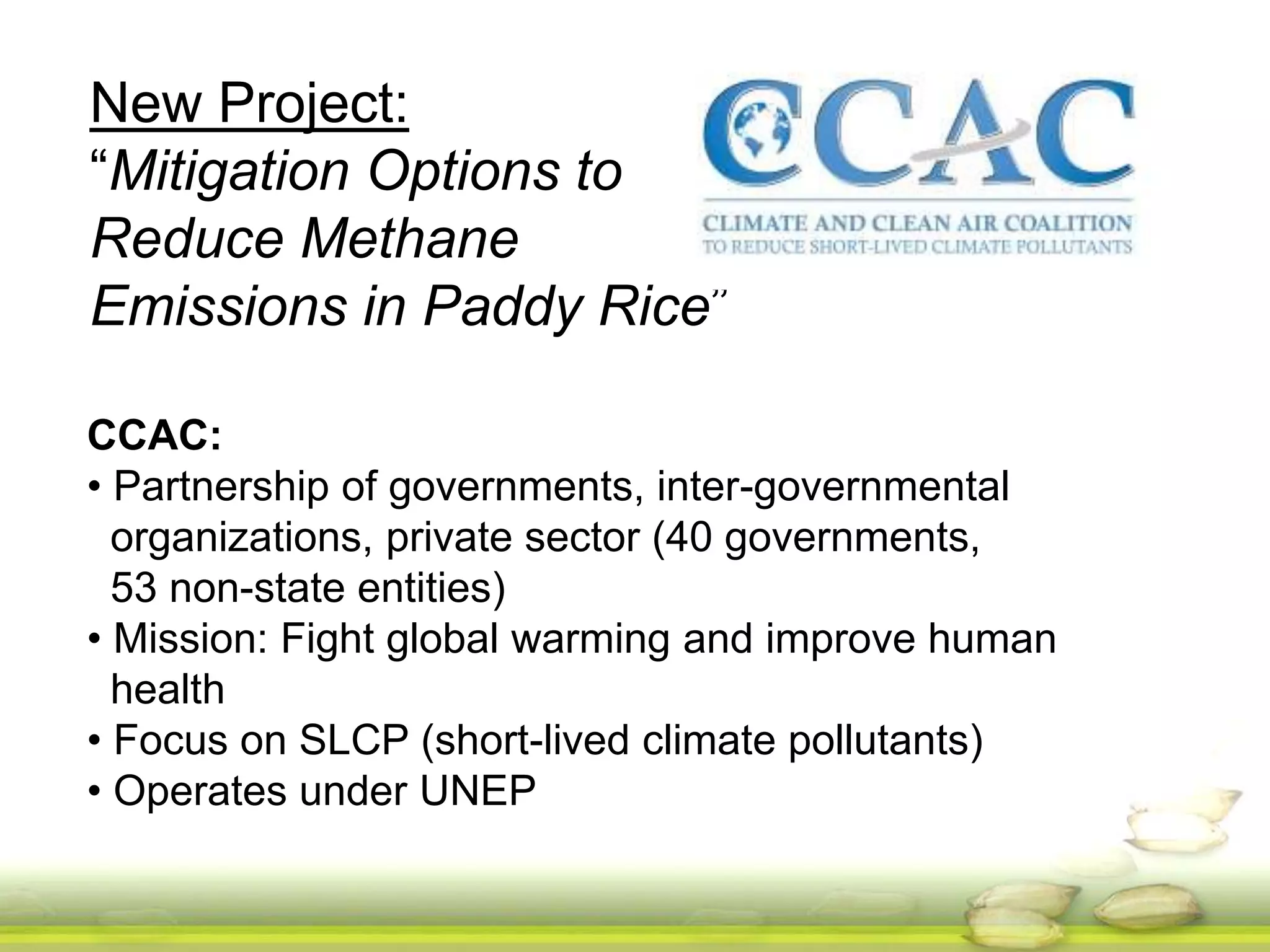 New Project: 
“Mitigation Options to 
Reduce Methane 
Emissions in Paddy Rice” 
CCAC: 
• Partnership of governments, inter-governmental 
organizations, private sector (40 governments, 
53 non-state entities) 
• Mission: Fight global warming and improve human 
health 
• Focus on SLCP (short-lived climate pollutants) 
• Operates under UNEP 
 
