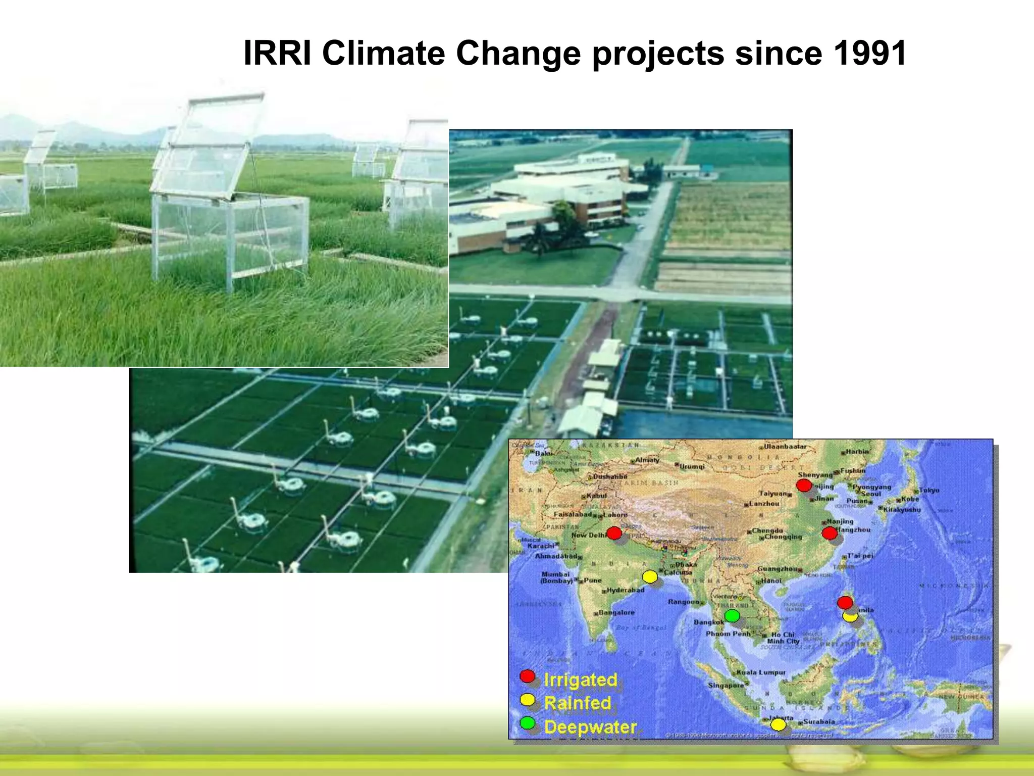 IRRI Climate Change projects since 1991 
 