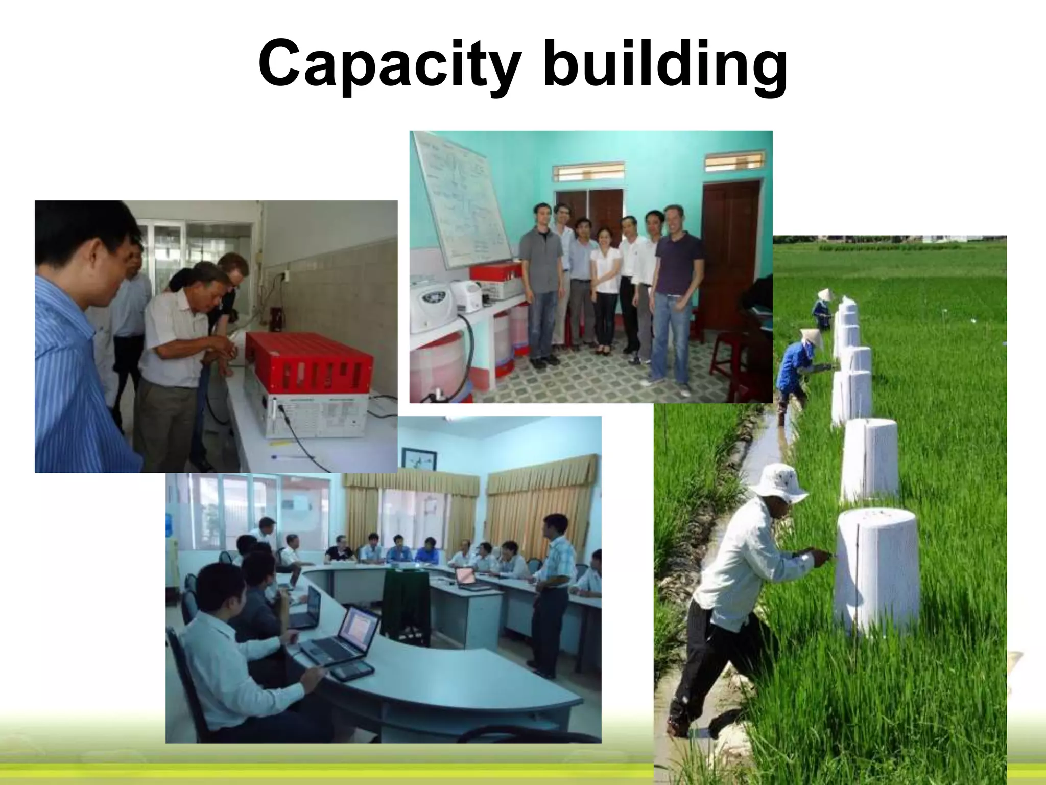 Capacity building 
 