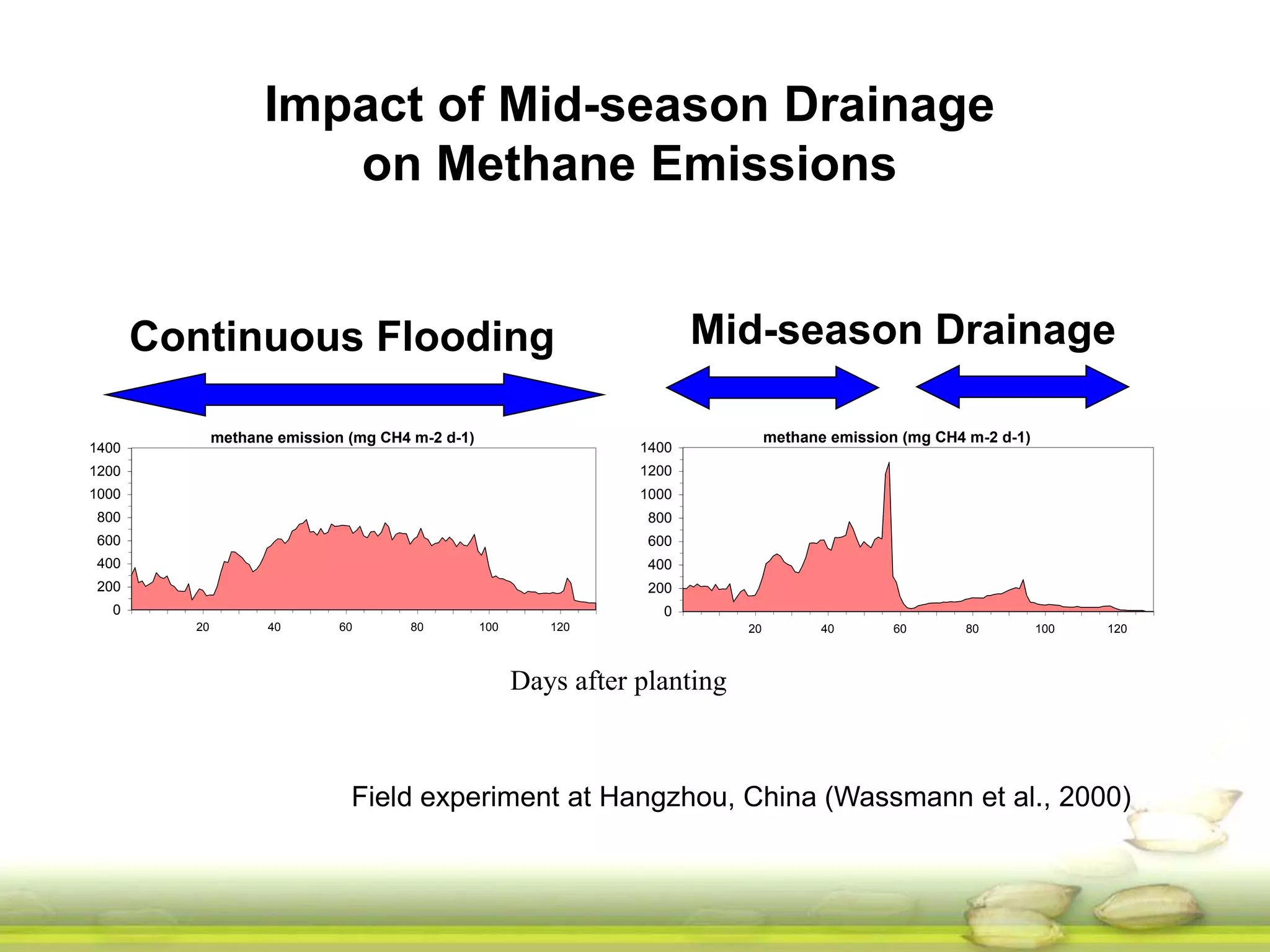 Impact of Mid-season Drainage 
on Methane Emissions 
water level (cm) / line Eh (mV) / dots 
100 
0 
Continuous Flooding -100 
Mid-season Drainage 
-200 
water level (cm) / line Eh (mV) / dots 
30 
20 
10 
1400 
1200 
1000 
800 
600 
400 
200 
Days after planting 
30 
20 
10 
0 
20 40 60 80 100 120 
-300 
1400 
1200 
1000 
800 
600 
400 
200 
0 
methane emission (mg CH4 m-2 d-1) 
20 40 60 80 100 120 
0 
20 40 60 80 100 120 
100 
0 
-100 
-200 
-300 
0 
methane emission (mg CH4 m-2 d-1) 
20 40 60 80 100 120 
Field experiment at Hangzhou, China (Wassmann et al., 2000) 
 