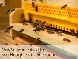 Was Softwareentwickler 
von Honigbienen lernen können 
 
