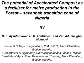 The potential of Accelerated Compost as 
a fertilizer for maize production in the 
Forest – savannah transition zone of 
Nigeria 
BY 
O. E. AyanfeOluwa1 O. O. AdeOluwa2 and V.O. Aduramigba- 
Modupe3 
1 Federal College of Agriculture, P.M.B 5029, Moor Plantation, 
Ibadan, Nigeria. 
2 Department of Agronomy, University of Ibadan, Ibadan, Nigeria. 
3 Institute of Agricultural Research and Training, Moor Plantation, 
Ibadan, Nigeria. 
 