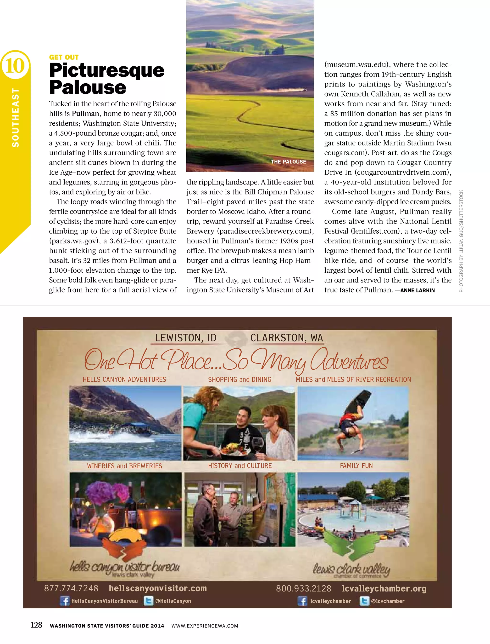 SOUTHEAST
10
PHOTOGRAPHBYLIJUANGUO/SHUTTERSTOCK
GET OUT
Picturesque
Palouse
Tucked in the heart of the rolling Palouse
hills is Pullman, home to nearly 30,000
residents; Washington State University;
a 4,500-pound bronze cougar; and, once
a year, a very large bowl of chili. The
undulating hills surrounding town are
ancient silt dunes blown in during the
Ice Age—now perfect for growing wheat
and legumes, starring in gorgeous pho-
tos, and exploring by air or bike.
The loopy roads winding through the
fertile countryside are ideal for all kinds
of cyclists; the more hard-core can enjoy
climbing up to the top of Steptoe Butte
(parks.wa.gov), a 3,612-foot quartzite
hunk sticking out of the surrounding
basalt. It’s 32 miles from Pullman and a
1,000-foot elevation change to the top.
Some bold folk even hang-glide or para-
glide from here for a full aerial view of
the rippling landscape. A little easier but
just as nice is the Bill Chipman Palouse
Trail—eight paved miles past the state
border to Moscow, Idaho. After a round-
trip, reward yourself at Paradise Creek
Brewery (paradisecreekbrewery.com),
housed in Pullman’s former 1930s post
office. The brewpub makes a mean lamb
burger and a citrus-leaning Hop Ham-
mer Rye IPA.
The next day, get cultured at Wash-
ington State University’s Museum of Art
(museum.wsu.edu), where the collec-
tion ranges from 19th-century English
prints to paintings by Washington’s
own Kenneth Callahan, as well as new
works from near and far. (Stay tuned:
a $5 million donation has set plans in
motion for a grand new museum.) While
on campus, don’t miss the shiny cou-
gar statue outside Martin Stadium (wsu
cougars.com). Post-art, do as the Cougs
do and pop down to Cougar Country
Drive In (cougarcountrydrivein.com),
a 40-year-old institution beloved for
its old-school burgers and Dandy Bars,
awesome candy-dipped ice cream pucks.
Come late August, Pullman really
comes alive with the National Lentil
Festival (lentilfest.com), a two-day cel-
ebration featuring sunshiney live music,
legume-themed food, the Tour de Lentil
bike ride, and—of course—the world’s
largest bowl of lentil chili. Stirred with
an oar and served to the masses, it’s the
true taste of Pullman. —ANNE LARKIN
THE PALOUSE
128 WASHINGTON STATE VISITORS’ GUIDE 2014 WWW.EXPERIENCEWA.COM
HISTORY and CULTUREWINERIES and BREWERIES
HELLS CANYON ADVENTURES SHOPPING and DINING
FAMILY FUN
MILES and MILES OF RIVER RECREATION
877.774.7248 hellscanyonvisitor.com
HellsCanyonVisitorBureau @HellsCanyon
LEWISTON, ID CLARKSTON, WA
@lcvchamberlcvalleychamber
800.933.2128 lcvalleychamber.org
 