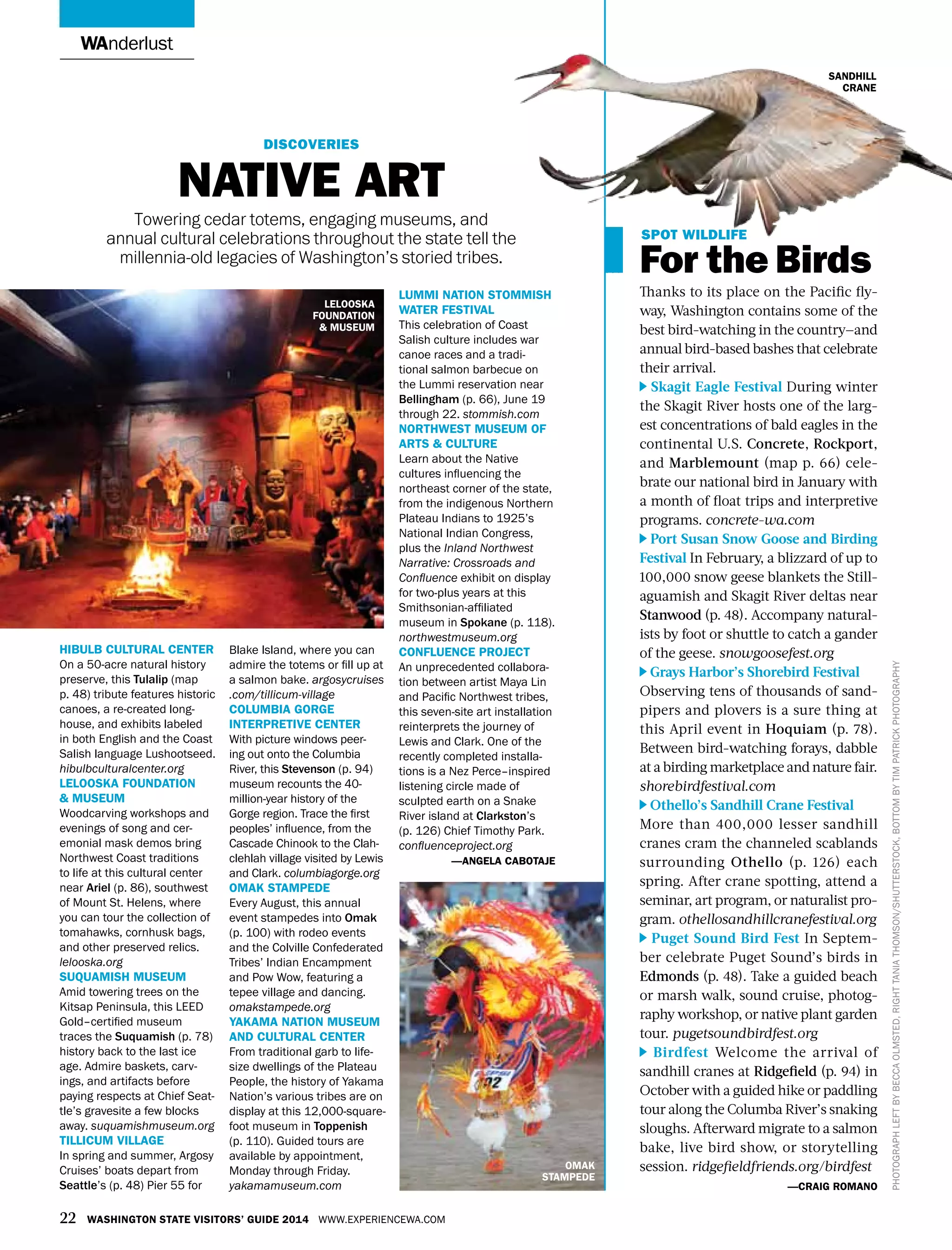 wanderlust
Hibulb Cultural Center
On a 50-acre natural history
preserve, this Tulalip (map
p. 48) tribute features historic
canoes, a re-created long-
house, and exhibits labeled
in both English and the Coast
Salish language Lushootseed.
hibulbculturalcenter.org
Lelooska Foundation
& Museum
Woodcarving workshops and
evenings of song and cer-
emonial mask demos bring
Northwest Coast traditions
to life at this cultural center
near Ariel (p. 86), southwest
of Mount St. Helens, where
you can tour the collection of
tomahawks, cornhusk bags,
and other preserved relics.
lelooska.org
Suquamish Museum
Amid towering trees on the
Kitsap Peninsula, this LEED
Gold–certified museum
traces the Suquamish (p. 78)
history back to the last ice
age. Admire baskets, carv-
ings, and artifacts before
paying respects at Chief Seat-
tle’s gravesite a few blocks
away. suquamishmuseum.org
Tillicum Village
In spring and summer, Argosy
Cruises’ boats depart from
Seattle’s (p. 48) Pier 55 for
Blake Island, where you can
admire the totems or fill up at
a salmon bake. argosycruises
.com/tillicum-village
Columbia Gorge
Interpretive Center
With picture windows peer-
ing out onto the Columbia
River, this Stevenson (p. 94)
museum recounts the 40-
million-year history of the
Gorge region. Trace the first
peoples’ influence, from the
Cascade Chinook to the Clah-
clehlah village visited by Lewis
and Clark. columbiagorge.org
Omak Stampede
Every August, this annual
event stampedes into Omak
(p. 100) with rodeo events
and the Colville Confederated
Tribes’ Indian Encampment
and Pow Wow, featuring a
tepee village and dancing.
omakstampede.org
Yakama Nation Museum
and Cultural Center
From traditional garb to life-
size dwellings of the Plateau
People, the history of Yakama
Nation’s various tribes are on
display at this 12,000-square-
foot museum in Toppenish
(p. 110). Guided tours are
available by appointment,
Monday through Friday.
yakamamuseum.com
Lummi Nation Stommish
Water Festival
This celebration of Coast
Salish culture includes war
canoe races and a tradi-
tional salmon barbecue on
the Lummi reservation near
Bellingham (p. 66), June 19
through 22. stommish.com
Northwest Museum of
Arts & Culture
Learn about the Native
cultures influencing the
northeast corner of the state,
from the indigenous Northern
Plateau Indians to 1925’s
National Indian Congress,
plus the Inland Northwest
Narrative: Crossroads and
Confluence exhibit on display
for two-plus years at this
Smithsonian-affiliated
museum in Spokane (p. 118).
northwestmuseum.org
Confluence Project
An unprecedented collabora-
tion between artist Maya Lin
and Pacific Northwest tribes,
this seven-site art installation
reinterprets the journey of
Lewis and Clark. One of the
recently completed installa-
tions is a Nez Perce–inspired
listening circle made of
sculpted earth on a Snake
River island at Clarkston’s
(p. 126) Chief Timothy Park.
confluenceproject.org
—angela cabotaje
Lelooska
Foundation
& Museum
sandhill
crane
discoveries
Native Art
Towering cedar totems, engaging museums, and
annual cultural celebrations throughout the state tell the
millennia-old legacies of Washington’s storied tribes.
22 Washington State Visitors’ Guide 2014 www.experiencewa.com
Photographleftbybeccaolmsted,rightTaniaThomson/shutterstock,bottombytimpatrickphotography
Omak
stampede
spot wildlife
For the Birds
Thanks to its place on the Pacific fly-
way, Washington contains some of the
best bird-watching in the country—and
annual bird-based bashes that celebrate
their arrival.
Skagit Eagle Festival During winter
the Skagit River hosts one of the larg-
est concentrations of bald eagles in the
continental U.S. Concrete, Rockport,
and Marblemount (map p. 66) cele-
brate our national bird in January with
a month of float trips and interpretive
programs. concrete-wa.com
Port Susan Snow Goose and Birding
Festival In February, a blizzard of up to
100,000 snow geese blankets the Still-
aguamish and Skagit River deltas near
Stanwood (p. 48). Accompany natural-
ists by foot or shuttle to catch a gander
of the geese. snowgoosefest.org
Grays Harbor’s Shorebird Festival
Observing tens of thousands of sand-
pipers and plovers is a sure thing at
this April event in Hoquiam (p. 78).
Between bird-watching forays, dabble
at a birding marketplace and nature fair.
shorebirdfestival.com
Othello’s Sandhill Crane Festival
More than 400,000 lesser sandhill
cranes cram the channeled scablands
surrounding Othello (p. 126) each
spring. After crane spotting, attend a
seminar, art program, or naturalist pro-
gram. othellosandhillcranefestival.org
Puget Sound Bird Fest In Septem-
ber celebrate Puget Sound’s birds in
Edmonds (p. 48). Take a guided beach
or marsh walk, sound cruise, photog-
raphy workshop, or native plant garden
tour. pugetsoundbirdfest.org
Birdfest Welcome the arrival of
sandhill cranes at Ridgefield (p. 94) in
October with a guided hike or paddling
tour along the Columba River’s snaking
sloughs. Afterward migrate to a salmon
bake, live bird show, or storytelling
session. ridgefieldfriends.org/birdfest
—Craig Romano
 