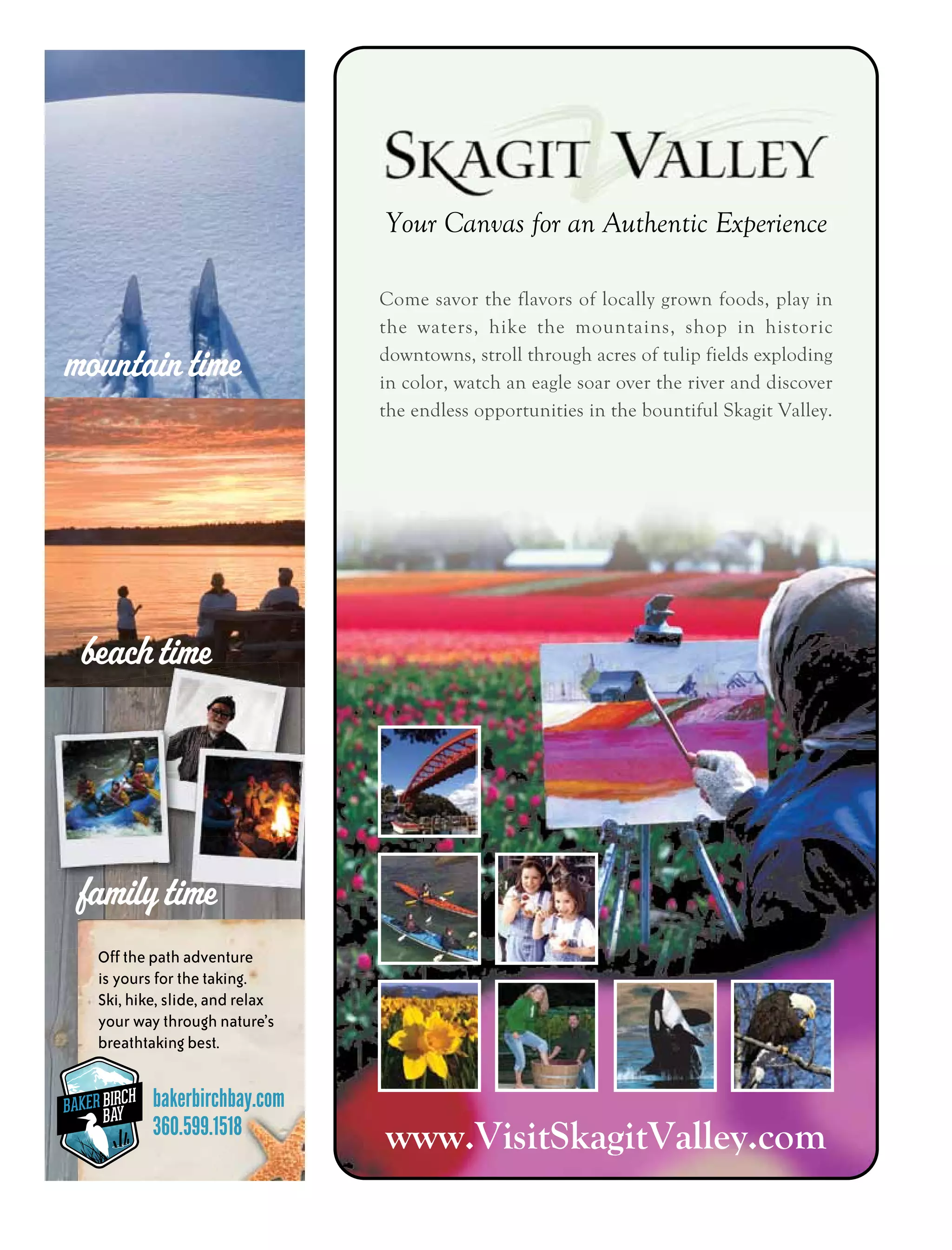 BAKER BIRCH
BAYBAKER BIRCH
BAY
 