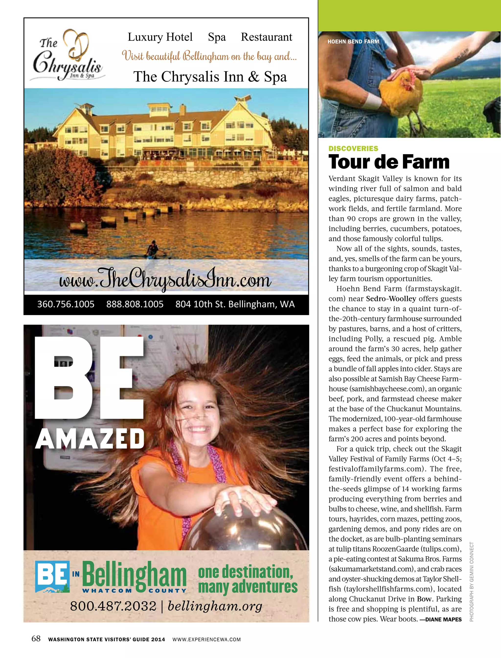 68 WASHINGTON STATE VISITORS’ GUIDE 2014 WWW.EXPERIENCEWA.COM
DISCOVERIES
Tour de Farm
Verdant Skagit Valley is known for its
winding river full of salmon and bald
eagles, picturesque dairy farms, patch-
work fields, and fertile farmland. More
than 90 crops are grown in the valley,
including berries, cucumbers, potatoes,
and those famously colorful tulips.
Now all of the sights, sounds, tastes,
and, yes, smells of the farm can be yours,
thanks to a burgeoning crop of Skagit Val-
ley farm tourism opportunities.
Hoehn Bend Farm (farmstayskagit.
com) near Sedro-Woolley offers guests
the chance to stay in a quaint turn-of-
the-20th-century farmhouse surrounded
by pastures, barns, and a host of critters,
including Polly, a rescued pig. Amble
around the farm’s 30 acres, help gather
eggs, feed the animals, or pick and press
a bundle of fall apples into cider. Stays are
also possible at Samish Bay Cheese Farm-
house (samishbaycheese.com), an organic
beef, pork, and farmstead cheese maker
at the base of the Chuckanut Mountains.
The modernized, 100-year-old farmhouse
makes a perfect base for exploring the
farm’s 200 acres and points beyond.
For a quick trip, check out the Skagit
Valley Festival of Family Farms (Oct 4–5;
festivaloffamilyfarms.com). The free,
family-friendly event offers a behind-
the-seeds glimpse of 14 working farms
producing everything from berries and
bulbs to cheese, wine, and shellfish. Farm
tours, hayrides, corn mazes, petting zoos,
gardening demos, and pony rides are on
the docket, as are bulb-planting seminars
at tulip titans RoozenGaarde (tulips.com),
a pie-eating contest at Sakuma Bros. Farms
(sakumamarketstand.com), and crab races
andoyster-shuckingdemosatTaylorShell-
fish (taylorshellfishfarms.com), located
along Chuckanut Drive in Bow. Parking
is free and shopping is plentiful, as are
those cow pies. Wear boots. —DIANE MAPES
PHOTOGRAPHBYGEMINICONNECT
HOEHN BEND FARMLuxury Hotel Spa Restaurant
Visit beautiful Bellingham on the bay and…
The Chrysalis Inn & Spa
www.TheChrysalisInn.com
360.756.1005 888.808.1005 804 10th St. Bellingham, WA
 