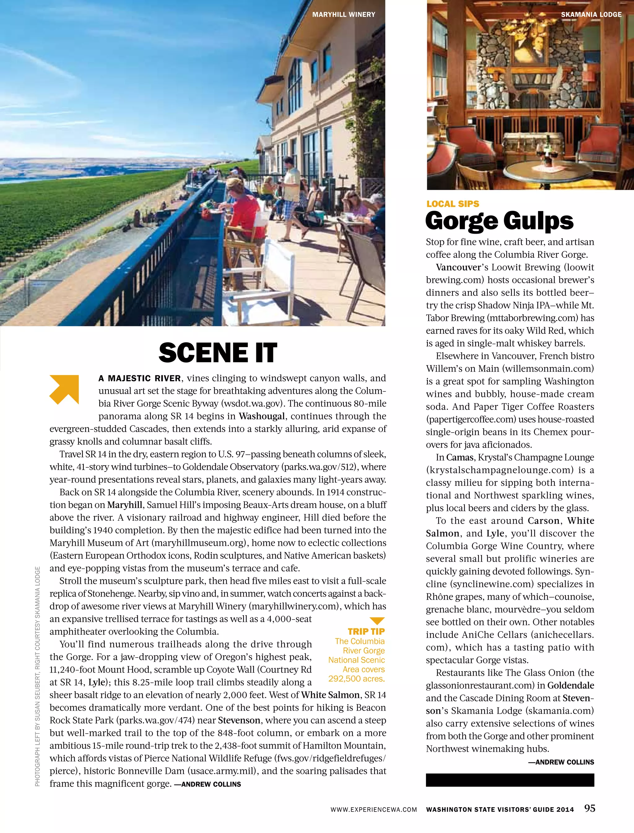 WWW.EXPERIENCEWA.COM WASHINGTON STATE VISITORS’ GUIDE 2014 95
PHOTOGRAPHLEFTBYSUSANSEUBERT,RIGHTCOURTESYSKAMANIALODGE
LOCAL SIPS
Gorge Gulps
Stop for fine wine, craft beer, and artisan
coffee along the Columbia River Gorge.
Vancouver’s Loowit Brewing (loowit
brewing.com) hosts occasional brewer’s
dinners and also sells its bottled beer—
try the crisp Shadow Ninja IPA—while Mt.
Tabor Brewing (mttaborbrewing.com) has
earned raves for its oaky Wild Red, which
is aged in single-malt whiskey barrels.
Elsewhere in Vancouver, French bistro
Willem’s on Main (willemsonmain.com)
is a great spot for sampling Washington
wines and bubbly, house-made cream
soda. And Paper Tiger Coffee Roasters
(papertigercoffee.com) uses house-roasted
single-origin beans in its Chemex pour-
overs for java aficionados.
In Camas, Krystal’s Champagne Lounge
(krystalschampagnelounge.com) is a
classy milieu for sipping both interna-
tional and Northwest sparkling wines,
plus local beers and ciders by the glass.
To the east around Carson, White
Salmon, and Lyle, you’ll discover the
Columbia Gorge Wine Country, where
several small but prolific wineries are
quickly gaining devoted followings. Syn-
cline (synclinewine.com) specializes in
Rhône grapes, many of which—counoise,
grenache blanc, mourvèdre—you seldom
see bottled on their own. Other notables
include AniChe Cellars (anichecellars.
com), which has a tasting patio with
spectacular Gorge vistas.
Restaurants like The Glass Onion (the
glassonionrestaurant.com) in Goldendale
and the Cascade Dining Room at Steven-
son’s Skamania Lodge (skamania.com)
also carry extensive selections of wines
from both the Gorge and other prominent
Northwest winemaking hubs.
—ANDREW COLLINS
A MAJESTIC RIVER, vines clinging to windswept canyon walls, and
unusual art set the stage for breathtaking adventures along the Colum-
bia River Gorge Scenic Byway (wsdot.wa.gov). The continuous 80-mile
panorama along SR 14 begins in Washougal, continues through the
evergreen-studded Cascades, then extends into a starkly alluring, arid expanse of
grassy knolls and columnar basalt cliffs.
Travel SR 14 in the dry, eastern region to U.S. 97—passing beneath columns of sleek,
white, 41-story wind turbines—to Goldendale Observatory (parks.wa.gov/512), where
year-round presentations reveal stars, planets, and galaxies many light-years away.
Back on SR 14 alongside the Columbia River, scenery abounds. In 1914 construc-
tion began on Maryhill, Samuel Hill’s imposing Beaux-Arts dream house, on a bluff
above the river. A visionary railroad and highway engineer, Hill died before the
building’s 1940 completion. By then the majestic edifice had been turned into the
Maryhill Museum of Art (maryhillmuseum.org), home now to eclectic collections
(Eastern European Orthodox icons, Rodin sculptures, and Native American baskets)
and eye-popping vistas from the museum’s terrace and cafe.
Stroll the museum’s sculpture park, then head five miles east to visit a full-scale
replicaofStonehenge.Nearby,sipvinoand,insummer,watchconcertsagainstaback-
drop of awesome river views at Maryhill Winery (maryhillwinery.com), which has
an expansive trellised terrace for tastings as well as a 4,000-seat
amphitheater overlooking the Columbia.
You’ll find numerous trailheads along the drive through
the Gorge. For a jaw-dropping view of Oregon’s highest peak,
11,240-foot Mount Hood, scramble up Coyote Wall (Courtney Rd
at SR 14, Lyle); this 8.25-mile loop trail climbs steadily along a
sheer basalt ridge to an elevation of nearly 2,000 feet. West of White Salmon, SR 14
becomes dramatically more verdant. One of the best points for hiking is Beacon
Rock State Park (parks.wa.gov/474) near Stevenson, where you can ascend a steep
but well-marked trail to the top of the 848-foot column, or embark on a more
ambitious 15-mile round-trip trek to the 2,438-foot summit of Hamilton Mountain,
which affords vistas of Pierce National Wildlife Refuge (fws.gov/ridgefieldrefuges/
pierce), historic Bonneville Dam (usace.army.mil), and the soaring palisades that
frame this magnificent gorge. —ANDREW COLLINS
MARYHILL WINERY SKAMANIA LODGE
TRIP TIP
The Columbia
River Gorge
National Scenic
Area covers
292,500 acres.
SCENE IT
 