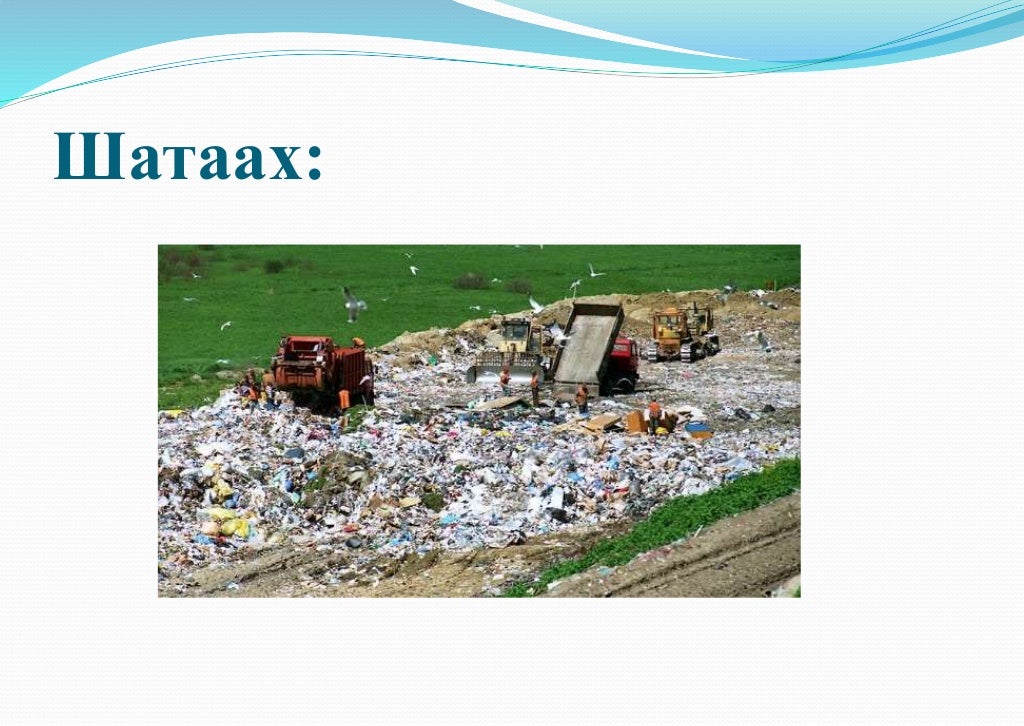Хог хаягдал