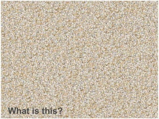 What is this? 