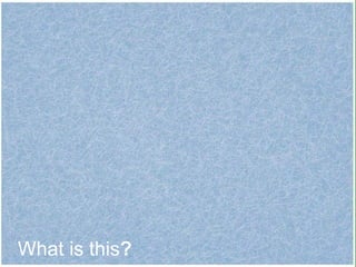 What is this ? 
