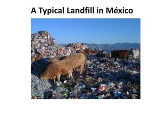 A Typical Landfill in México
 